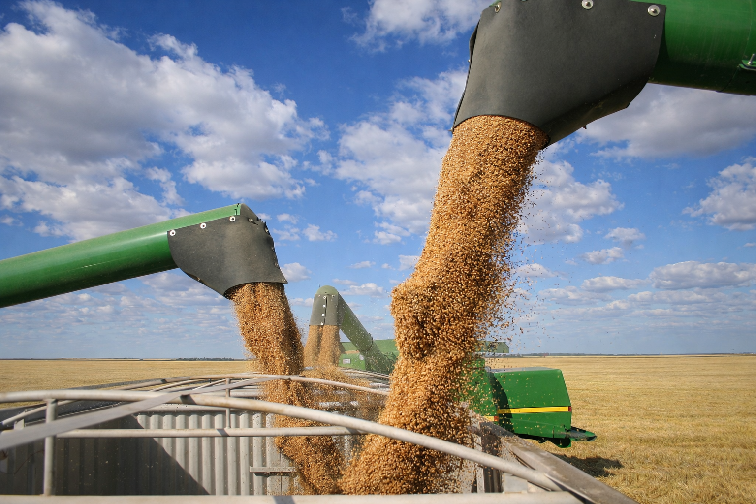 Transport Solution - Cargo handling equipment